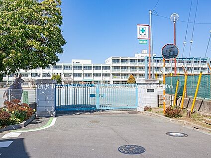 所沢市立富岡小学校 1800m