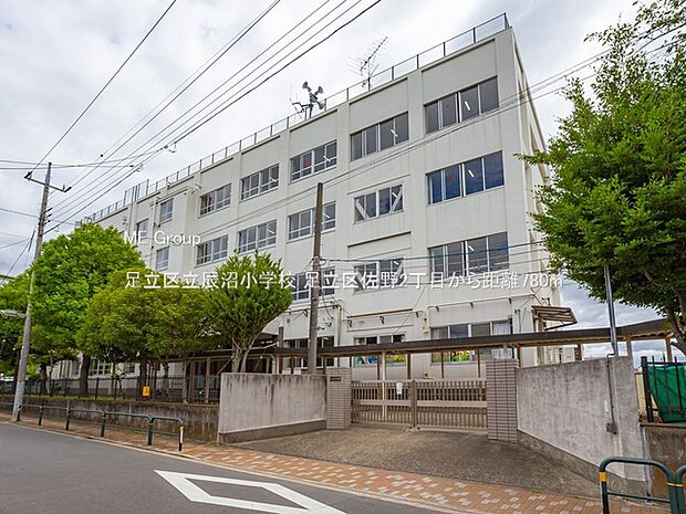 足立区立辰沼小学校（約780m・徒歩10分）
