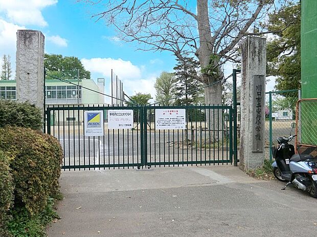 川口市立安行小学校(約1,000m・徒歩13分)