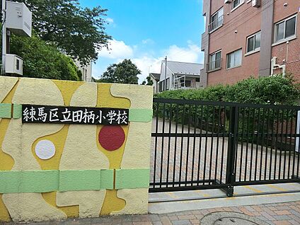 練馬区立田柄小学校 700m