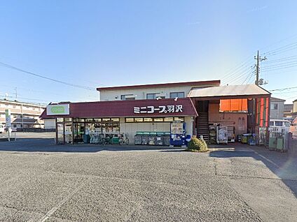 コープみらいミニコープ羽沢店 550m