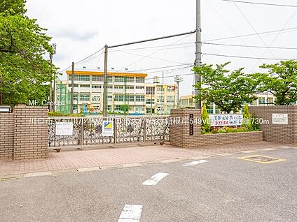 川口市立前川小学校 730m