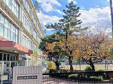 杉並区立馬橋小学校(約220m)