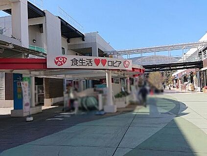 ロピア ふじみ野店 2000m(25分)