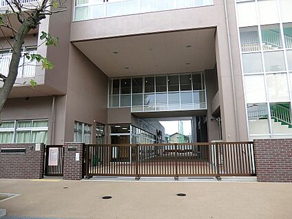 足立区立西新井小学校 500m