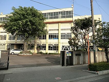 川口市立十二月田小学校 850m(11分)