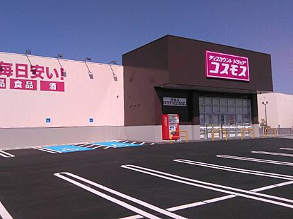 ディスカウントドラッグコスモス　岩橋店 760ｍ(徒歩10分)