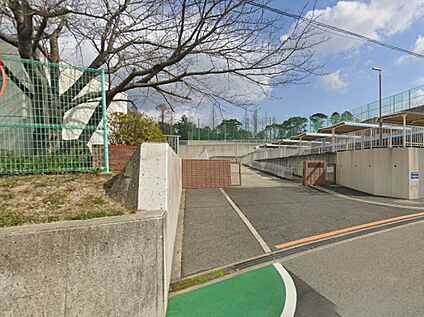 岬町立岬中学校 3300ｍ(徒歩41分)