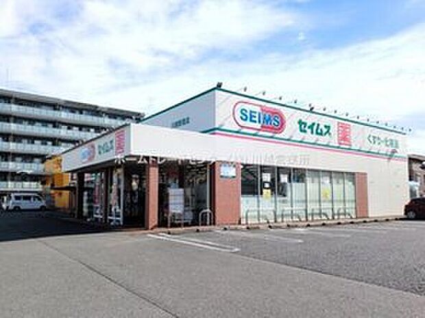 ドラッグセイムス川越新宿店(約615m)