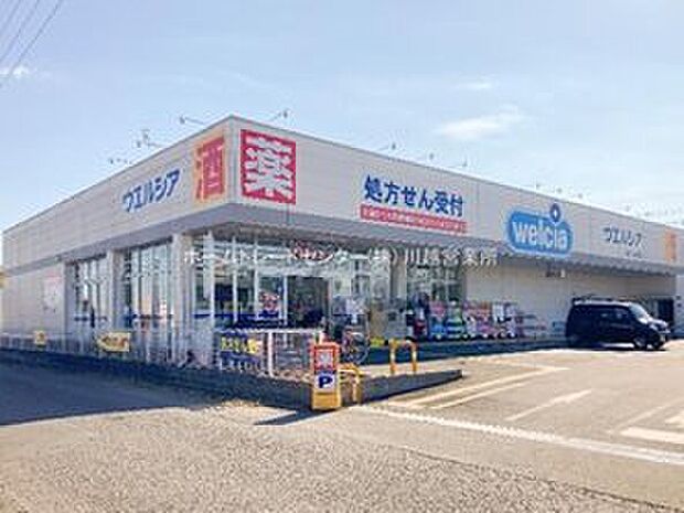ウエルシア川越小仙波店（約890m）