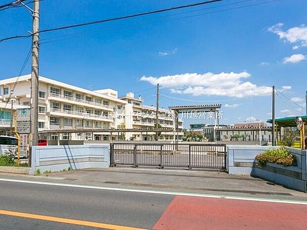 川越市立南古谷小学校(約1,200m)
