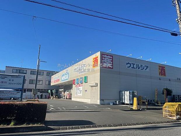 ウエルシア鶴ヶ島駅西口店（約788m）