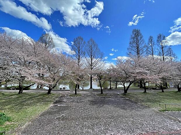 川越水上公園(約2,275m)