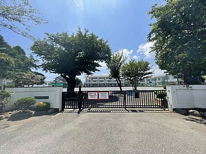 平塚市立中原小学校 約1,100m