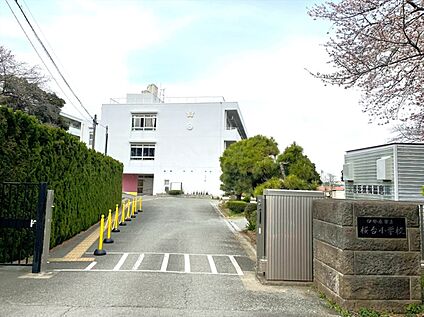 伊勢原市立桜台小学校 約500m
