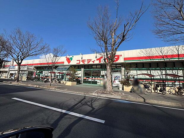 コモディイイダ新松戸店まで1440m