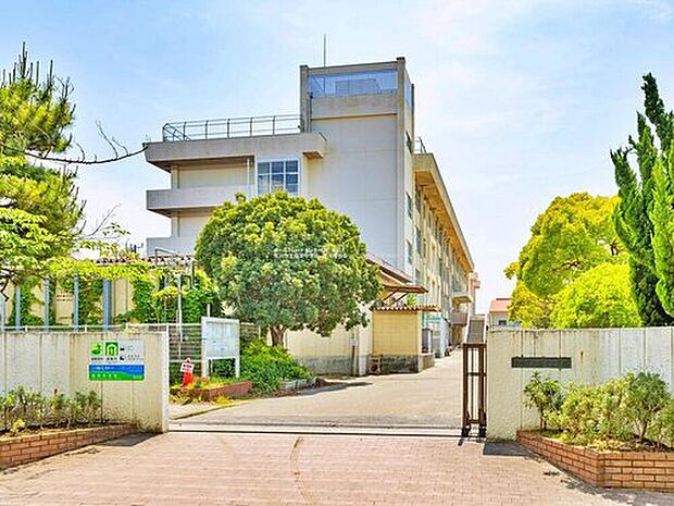 市川市立福栄中学校(約1,000m)