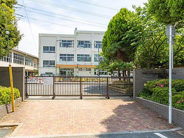 市川市立南新浜小学校（約550m）