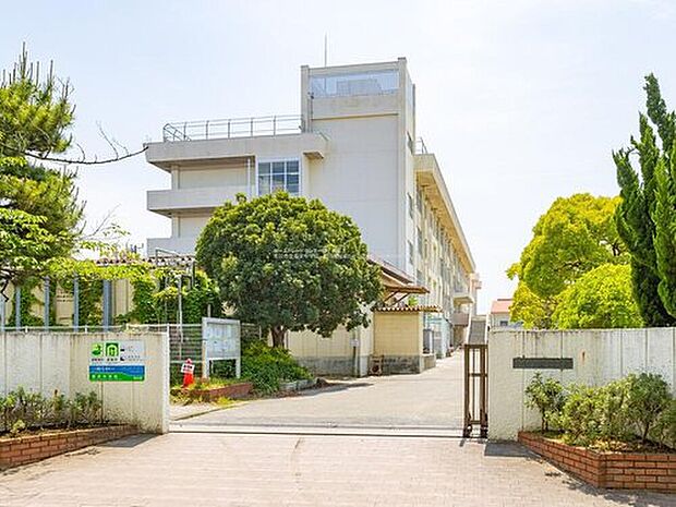 市川市立福栄中学校（約210m）