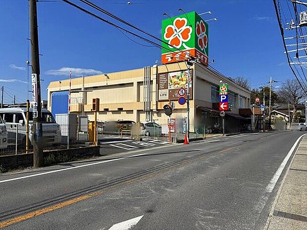 ライフ市川国分店（約500m）