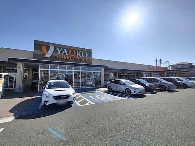 ヤオコー市川新田店（約350m）