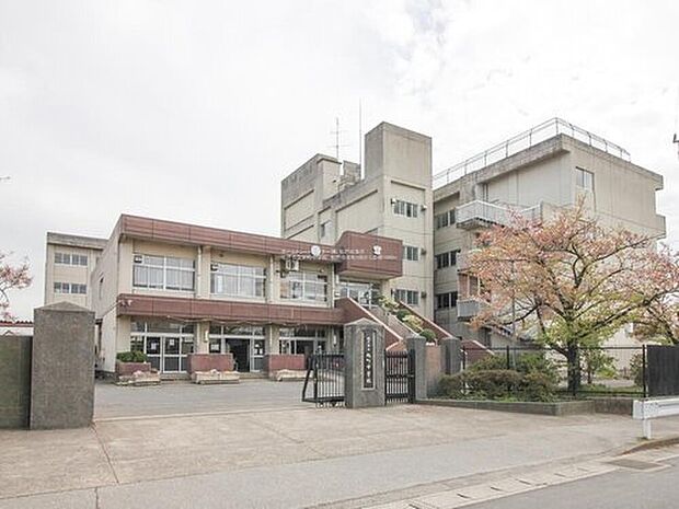 松戸市立旭町中学校（約800m）