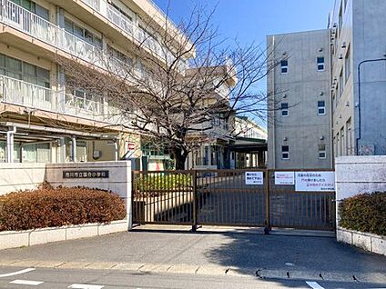 市川市立国分小学校 550m(徒歩7分)