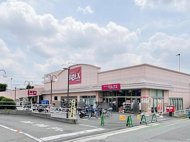 ベルクス市川堀之内店（約500m）
