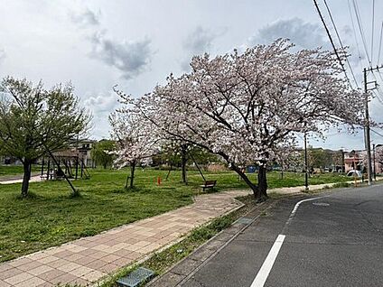 小塚山公園 402m(徒歩6分)