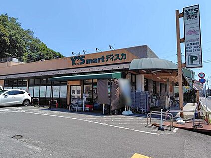 ワイズディスカ大野店 徒歩11分(851m)