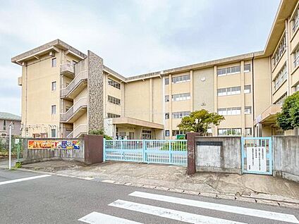 松戸市立古ケ崎小学校 800ｍ(徒歩10分)