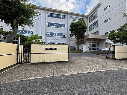 松戸市立第三中学校 1200ｍ(徒歩15分)