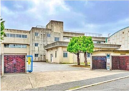 松戸市立貝の花小学校 95m(徒歩2分)