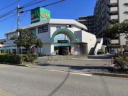 マルエツ市川大野店 800m(徒歩10分)
