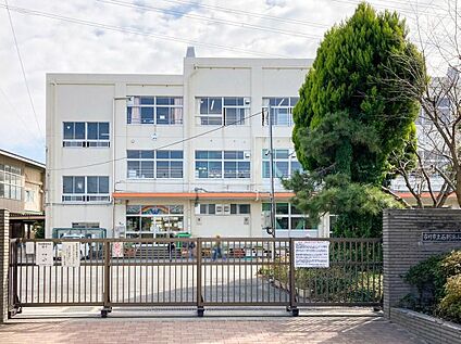 市川市立南新浜小学校 850m(徒歩11分)