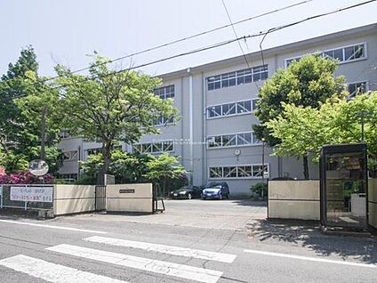 松戸市立第三中学校 1300m(徒歩17分)