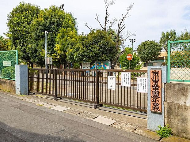 市川市立中国分小学校（約450m）