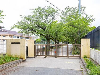 市川市立第一中学校 1500m(徒歩19分)