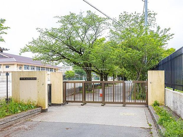 市川市立第一中学校(約1,500m)