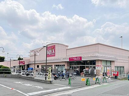 ベルクス市川堀之内店 1200m(徒歩15分)