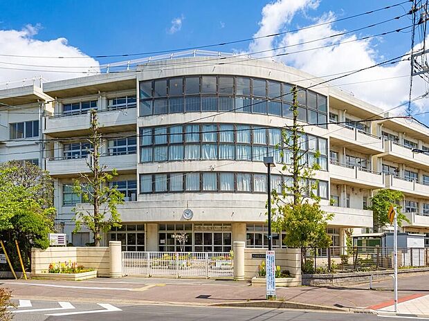市川市立妙典中学校(約500m)