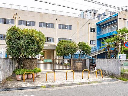 市川市立市川小学校 550m(徒歩9分)