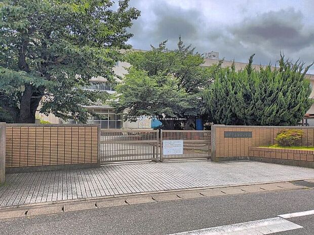 松戸市立南部小学校（約700m）