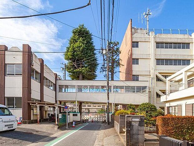 松戸市立小金小学校(約600m)