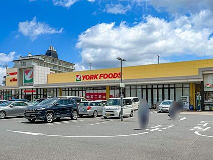 ヨークフーズ六高台店 921ｍ(徒歩12分)