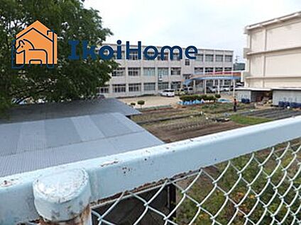 木津小学校 徒歩524m