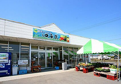 JAみえきた 四季菜 西部店 徒歩4637m