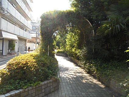 谷端川北緑道 130m