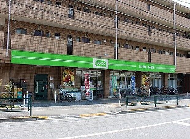 コープみらい ミニコープ赤塚店（約300m）