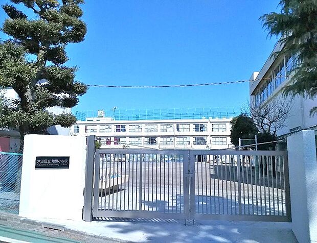 大田区立池雪小学校（約517m）